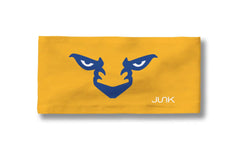 University of Pittsburgh: ROC Big Bang Lite Headband