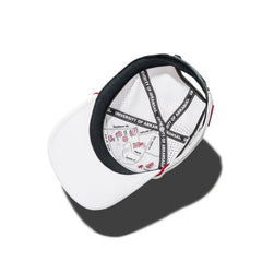 University of Arkansas: Apex Hat Arctic Snow