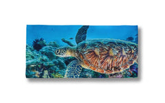 Tropical Turtle Big Bang Lite Headband